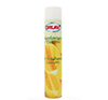 DESODORISANT CITRON EN AEROSOL DE 1000 ML / 750 ML - PAR 12