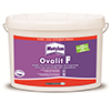 METYLAN OVALIT F EN SEAU DE 5 KG