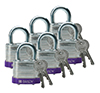 BRADY CADENAS VIOLET ACIER LAMINE AVEC ANSE 20 MM EN PAQUET DE 6