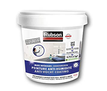 RUBSON MURS INTERIEURS ANTI HUMIDITE BLANC EN BOITE DE 0,75 L