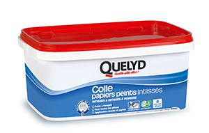 QUELYD COLLE PAPIERS INTISSES EN SEAU DE 5 KG