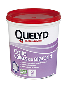 QUELYD COLLE DALLES DE PLAFOND EN POT DE 1 KG