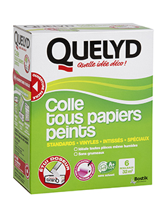 QUELYD COLLE TOUS PAPIERS PEINTS INDICATEUR COLORE EN ETUI DE 300 GR